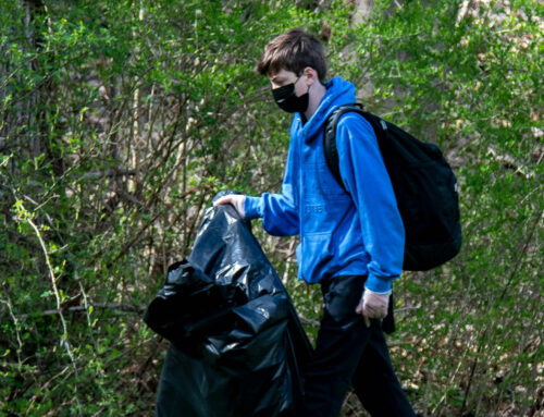 Spring Hamlet Cleanup 2025