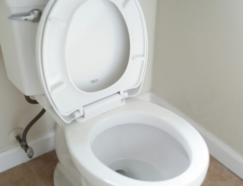Please DO NOT Flush the “Flushable Wipes”