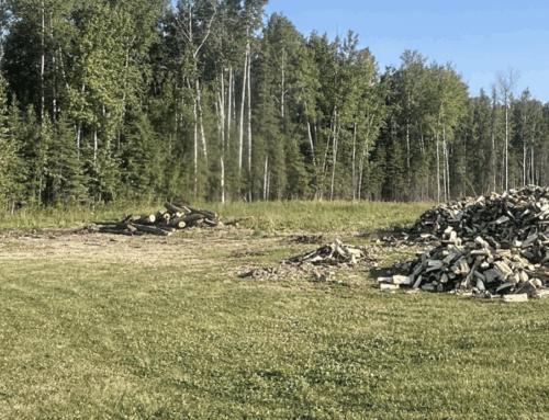 FREE Firewood for the Residents of Calling Lake